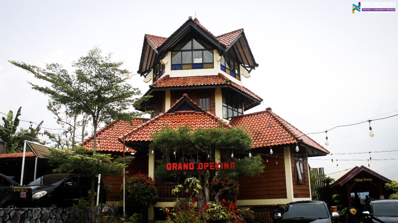 How To Take Better Concert Pictures in 30 Seconds