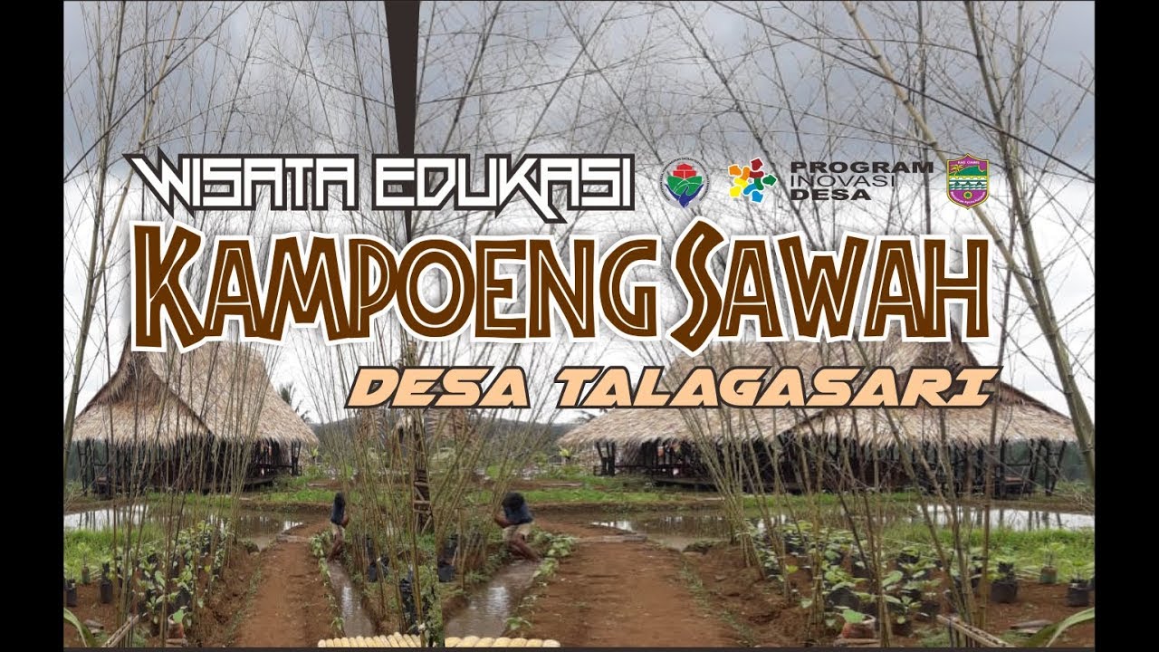 How To Take Better Concert Pictures in 30 Seconds